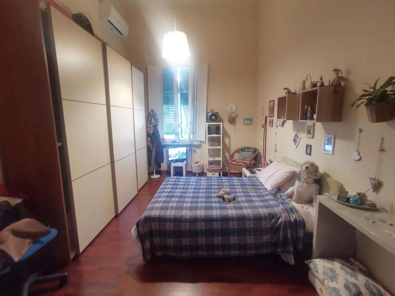  - foto 17