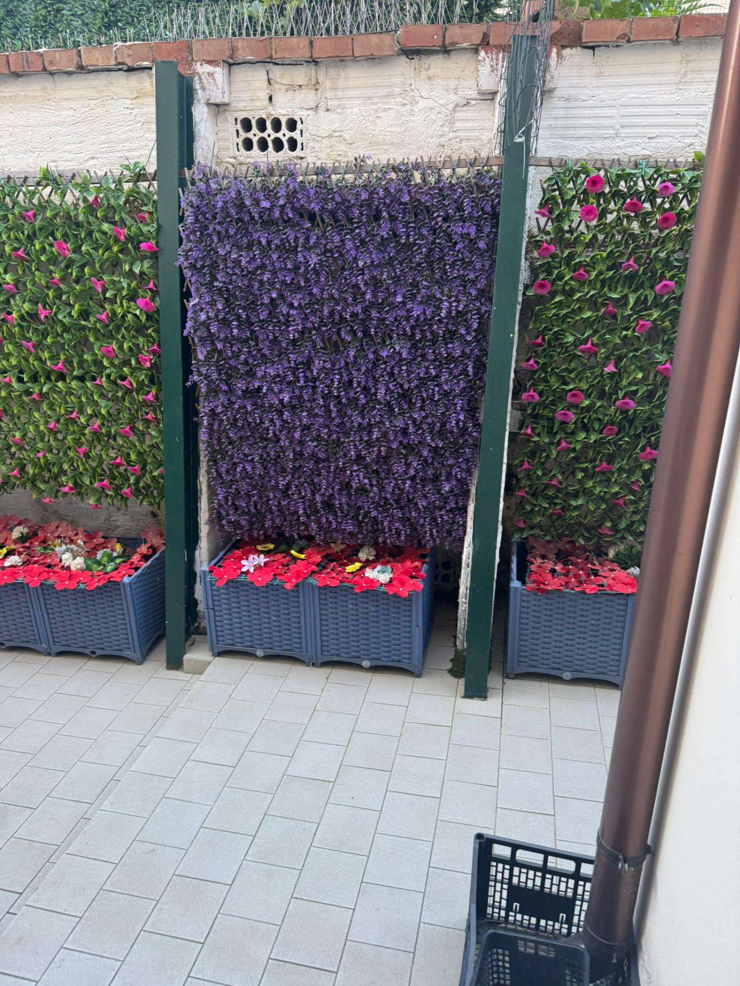  - foto 20