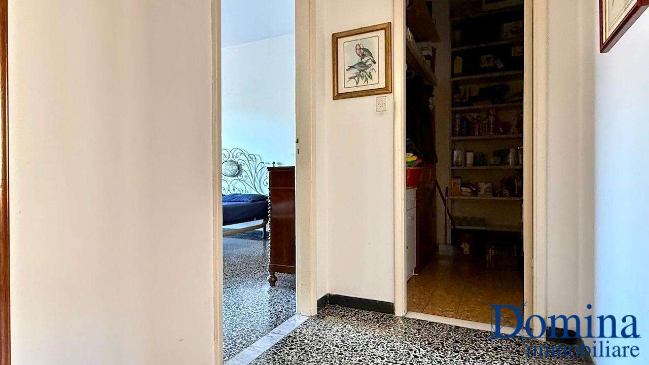  - foto 11