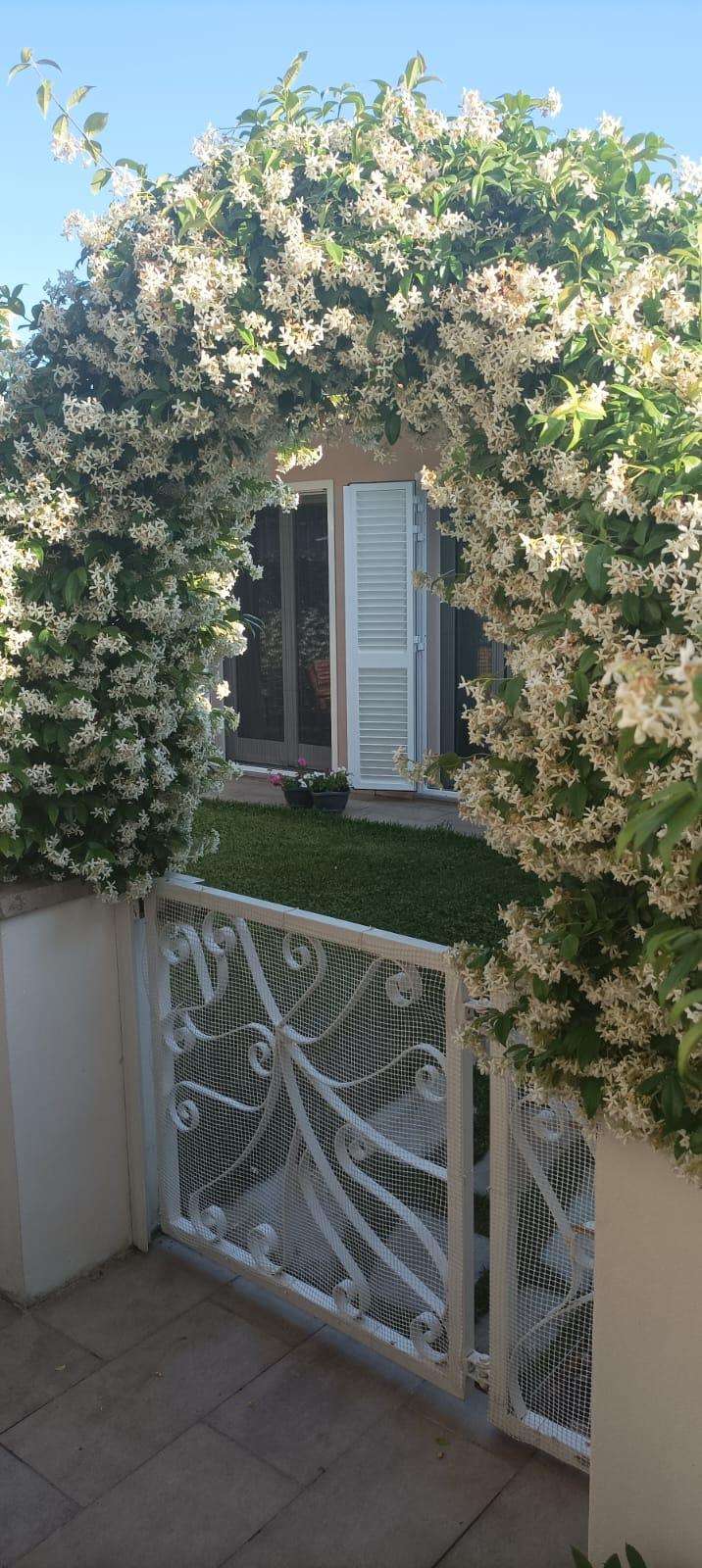  - foto 6