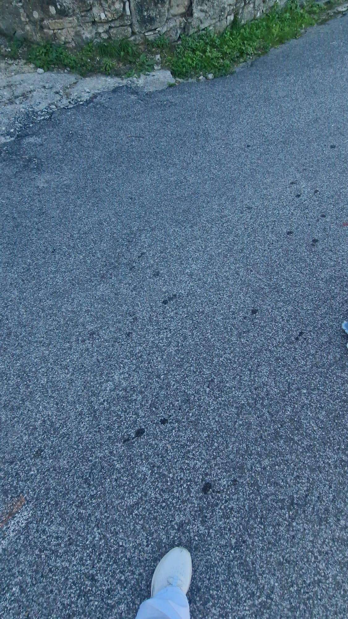  - foto 7