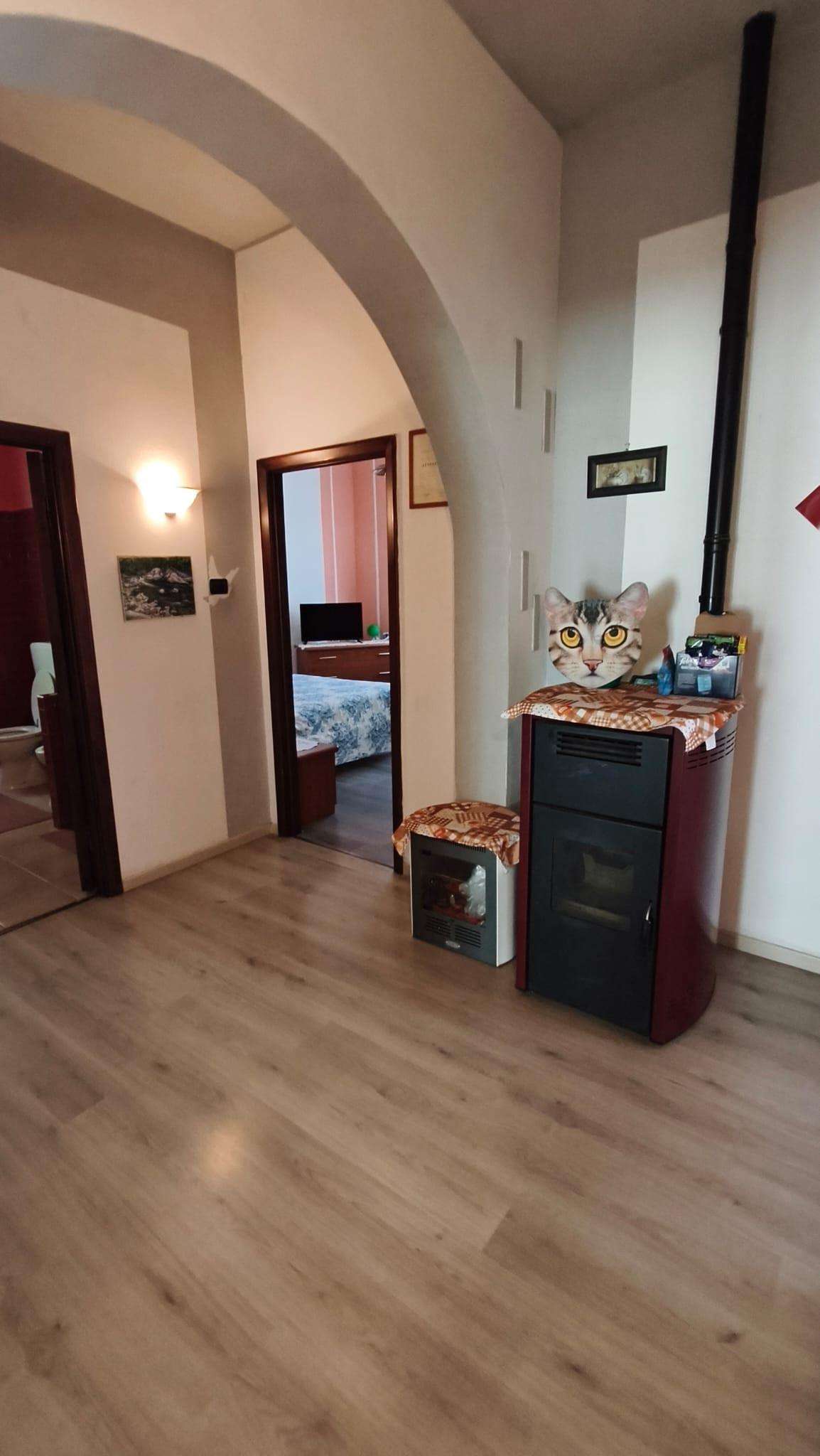  - foto 19