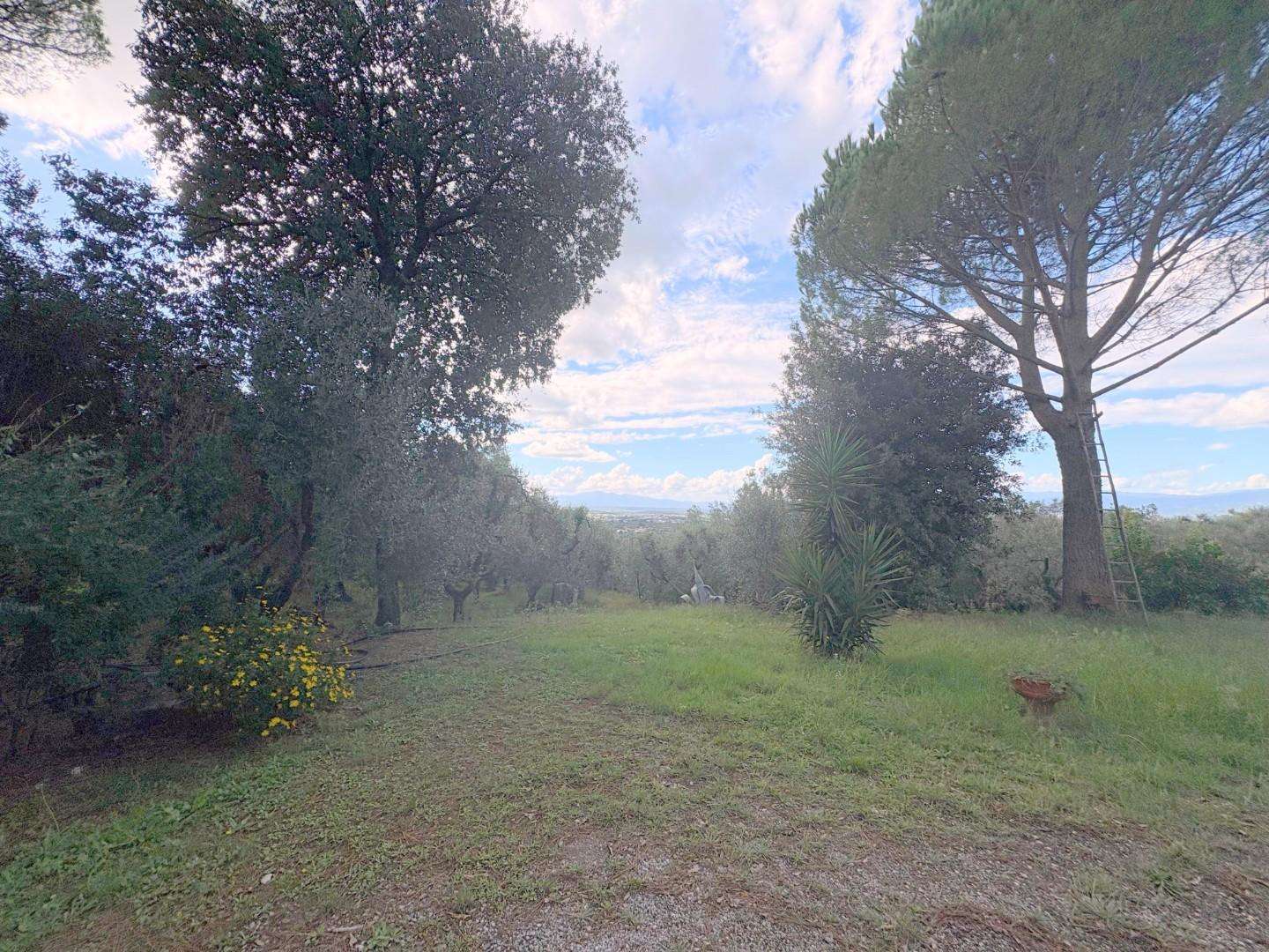  - foto 41