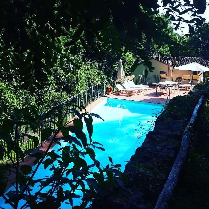  - foto 31