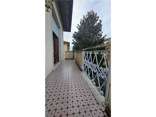  - foto 15