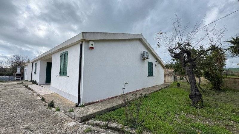  - foto 3
