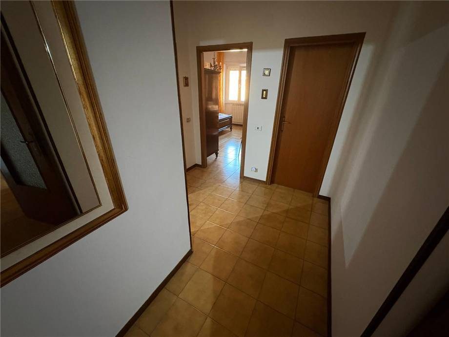  - foto 16