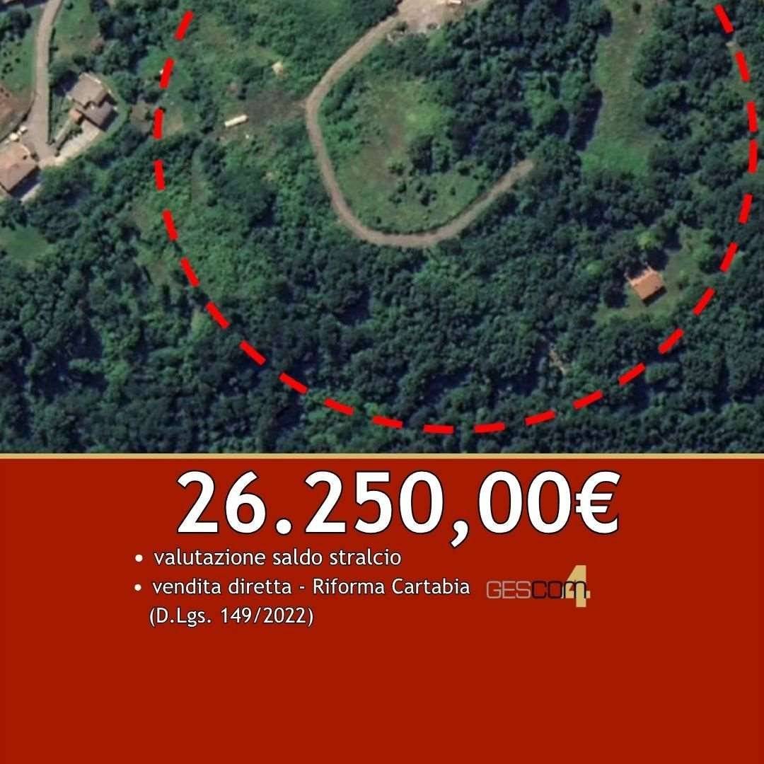 Terreno agricolo, San Benedetto Val di Sambro