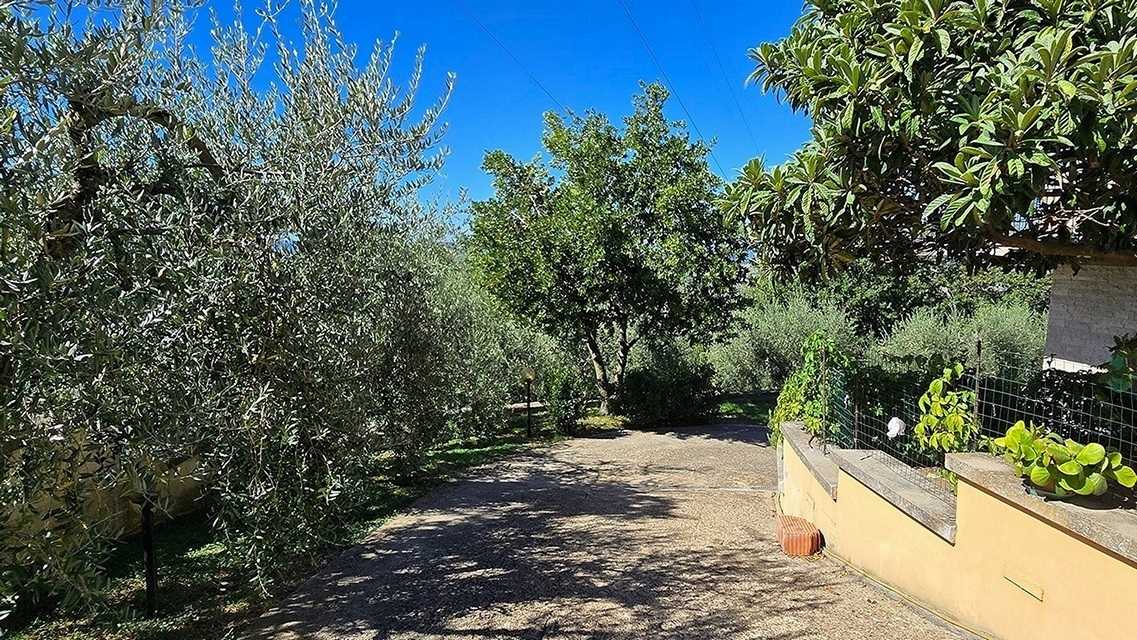  - foto 42