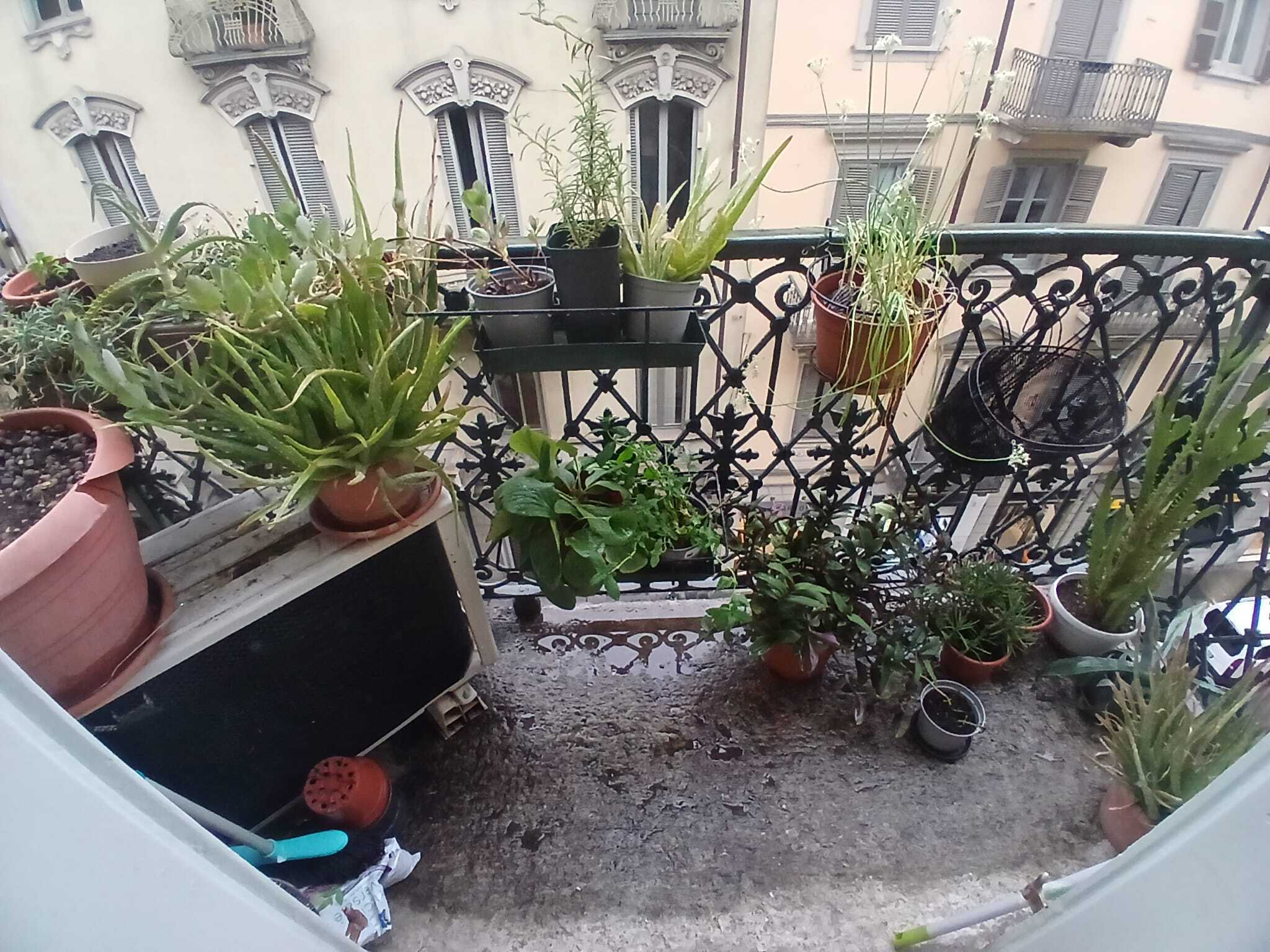  - foto 3