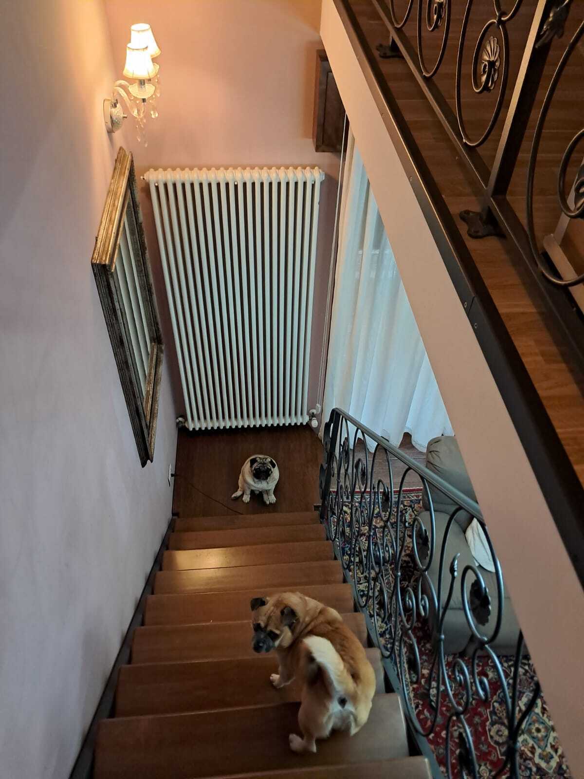 - foto 20