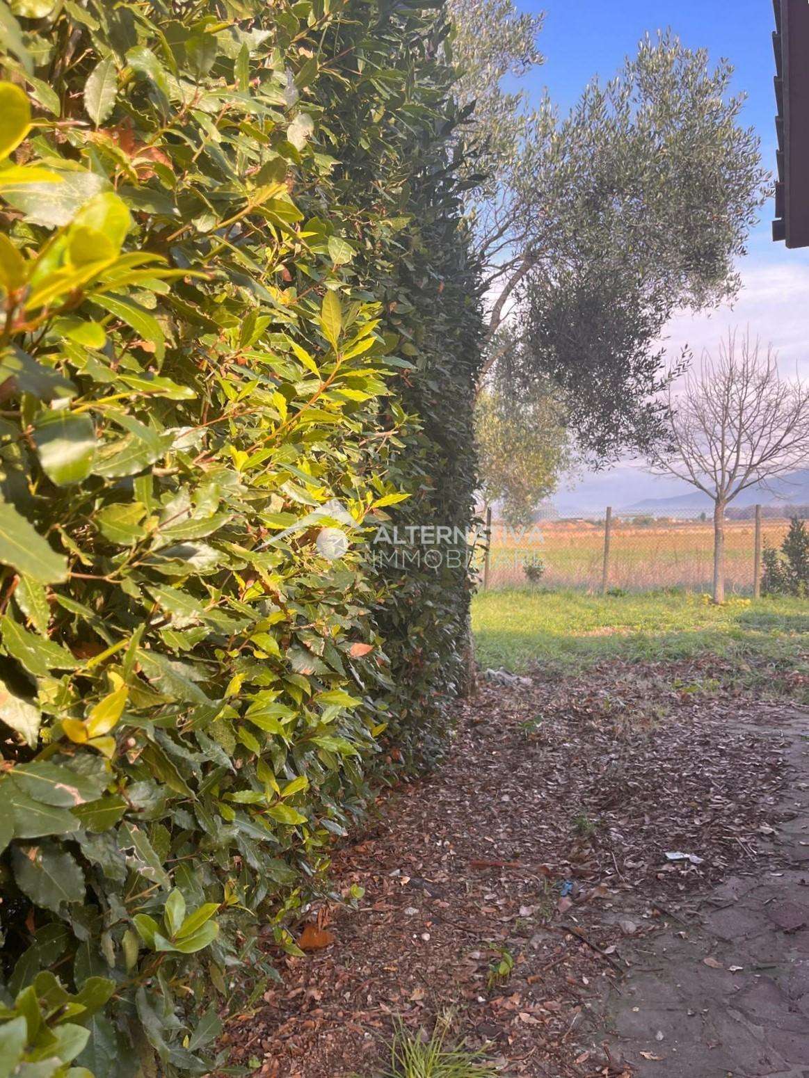 - foto 3
