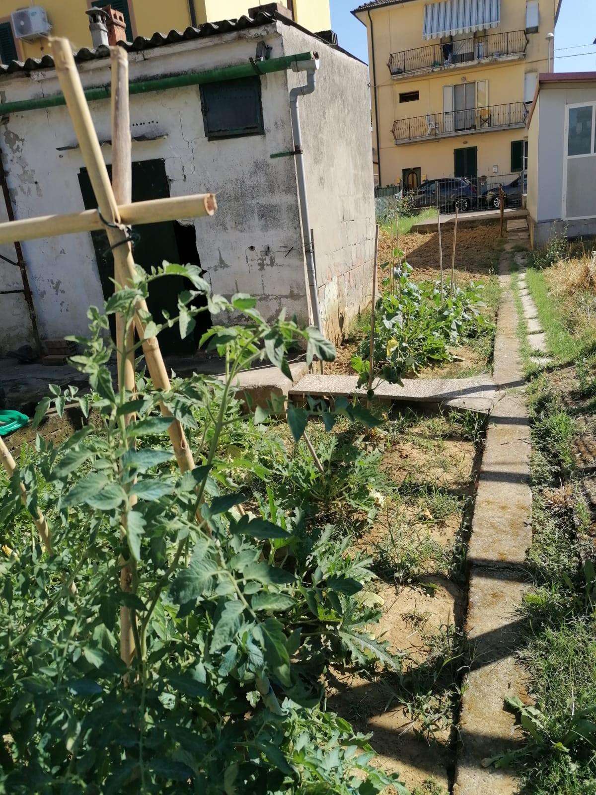  - foto 22
