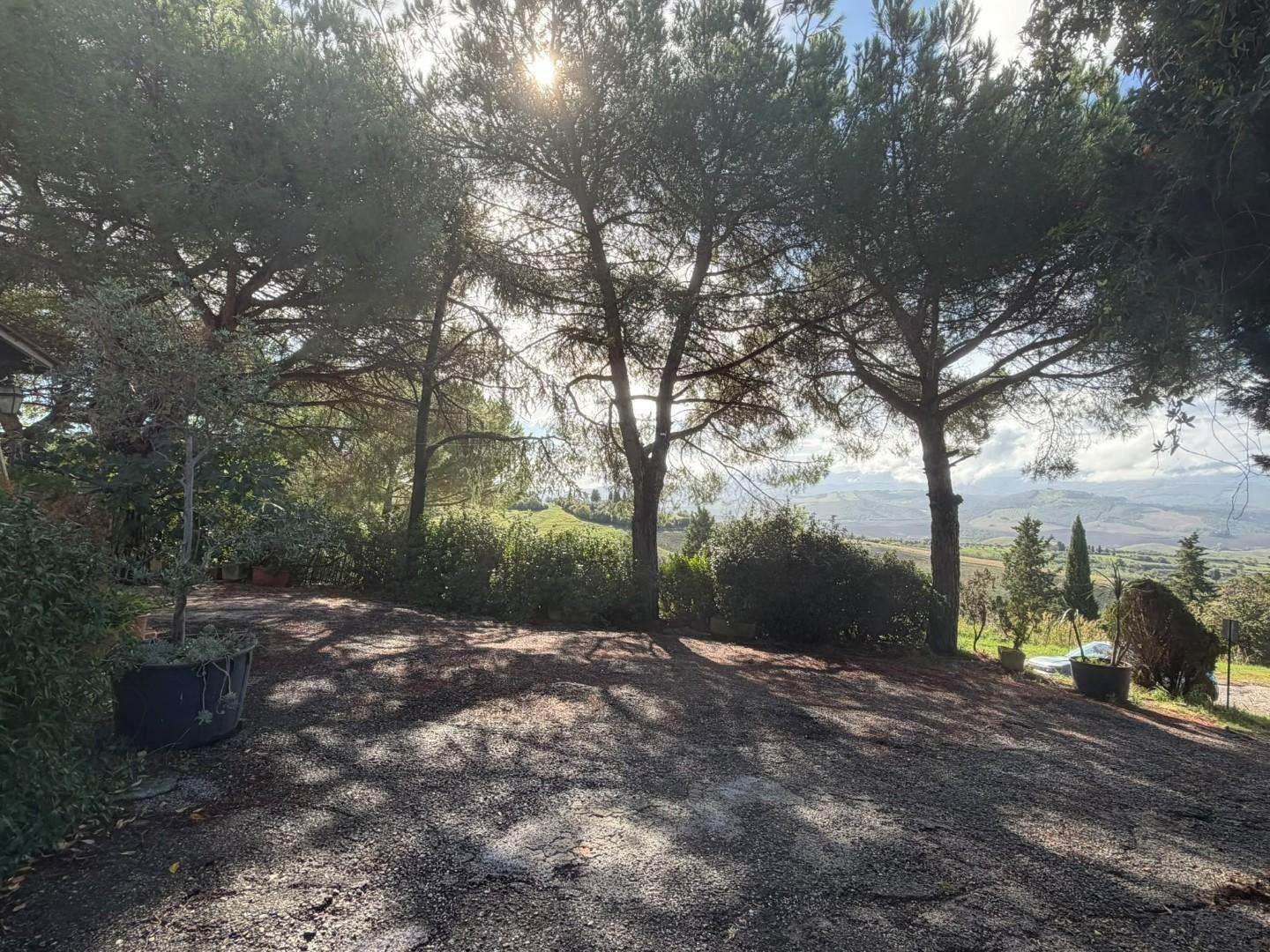  - foto 8