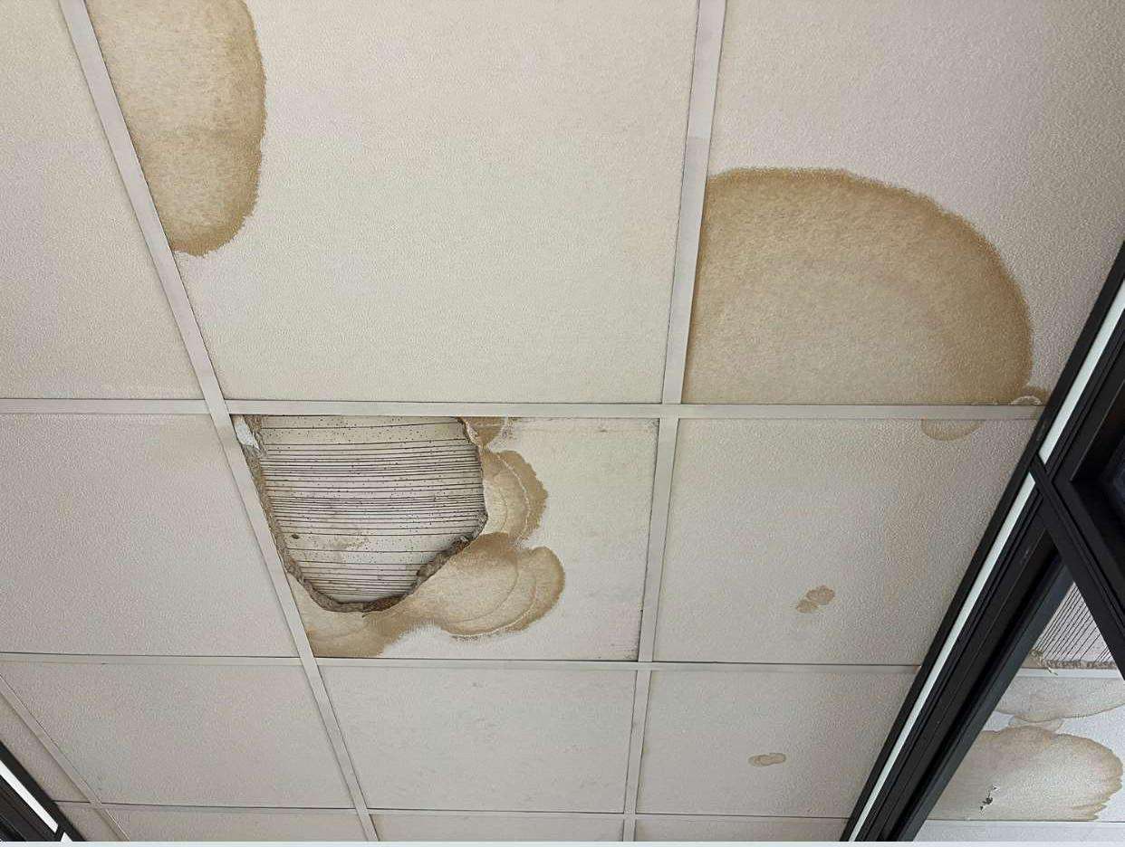 - foto 49