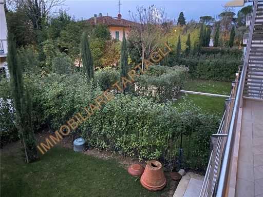  - foto 16