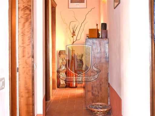  - foto 16