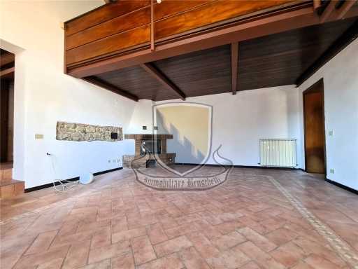  - foto 11