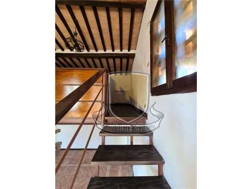  - foto 16