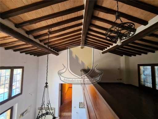  - foto 18