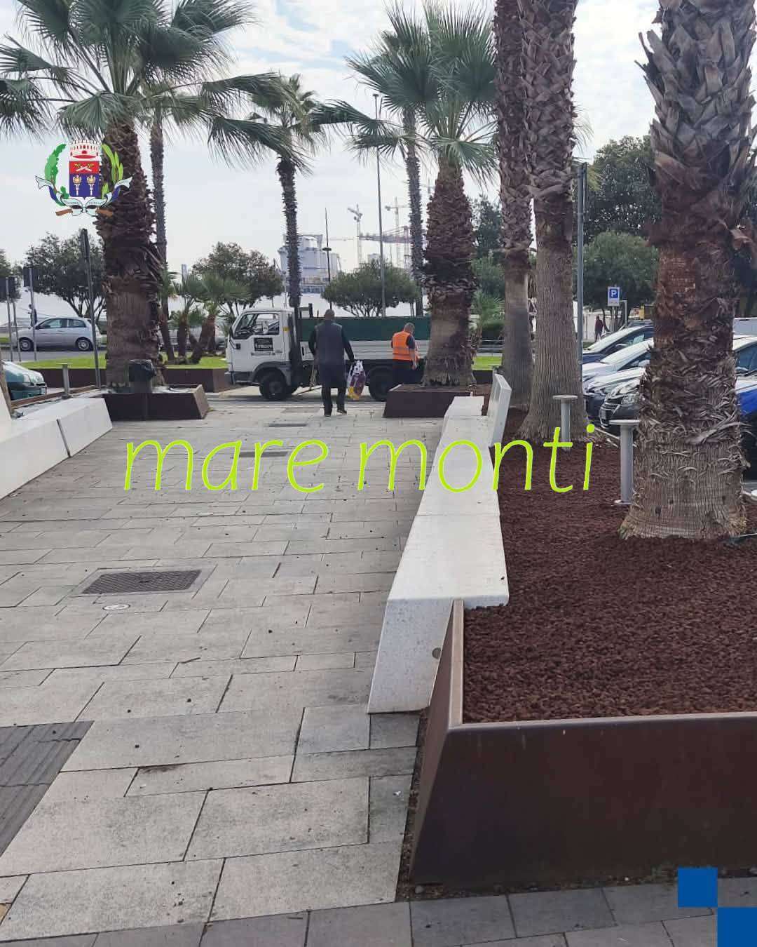  - foto 19