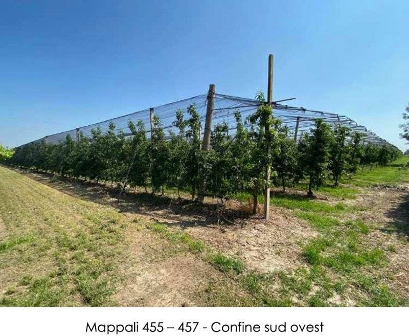  - foto 4