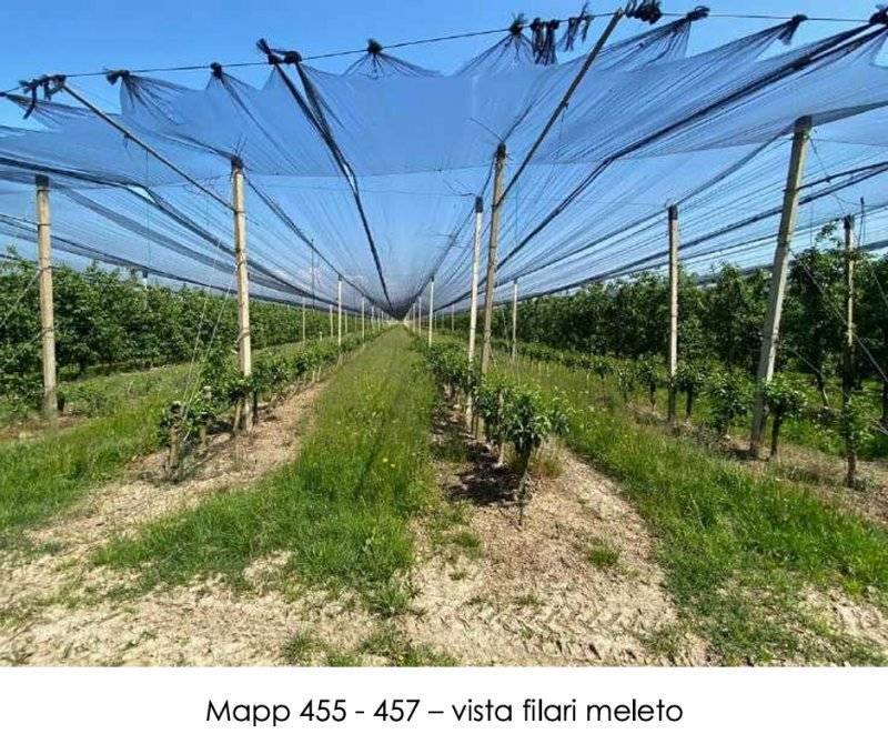 - foto 5