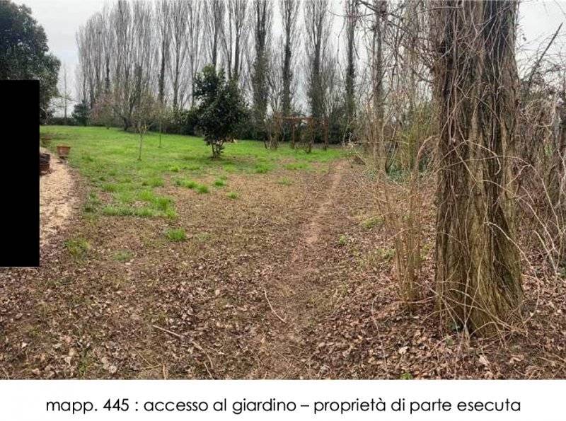  - foto 7