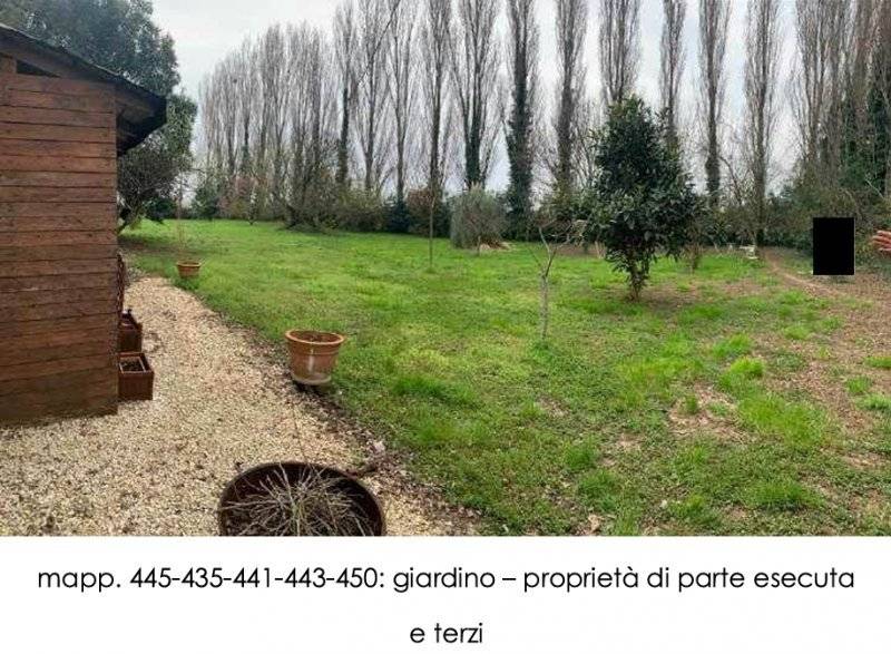  - foto 9