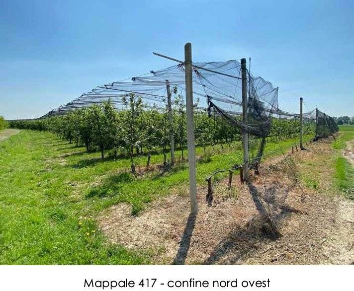  - foto 4