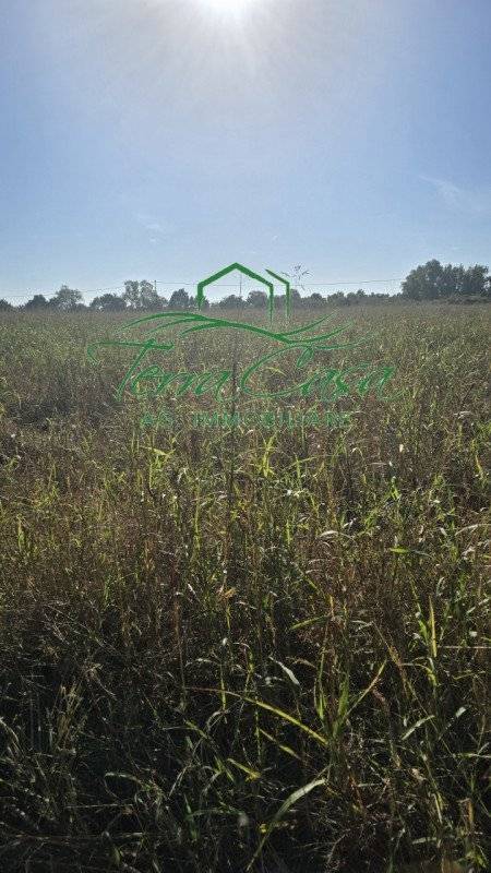 Terreno agricolo Vacil, Breda di Piave