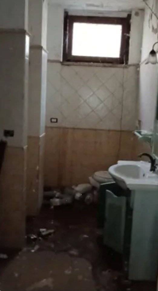  - foto 6