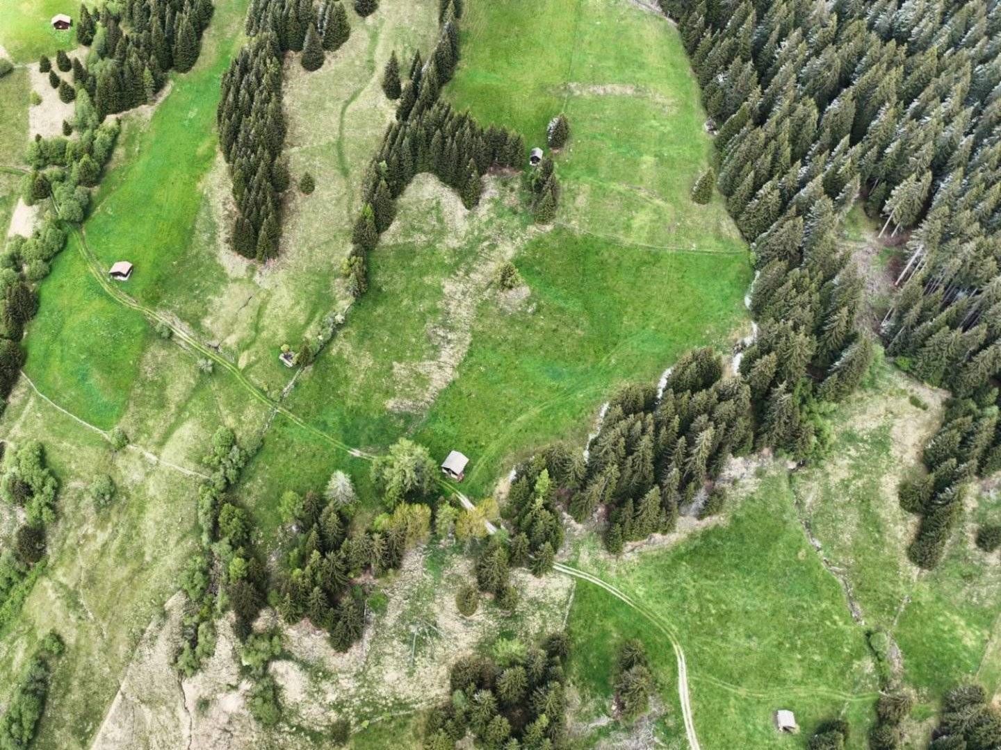  - foto 2