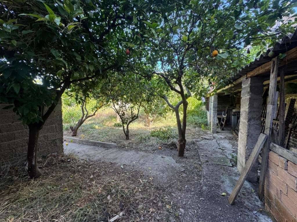  - foto 2