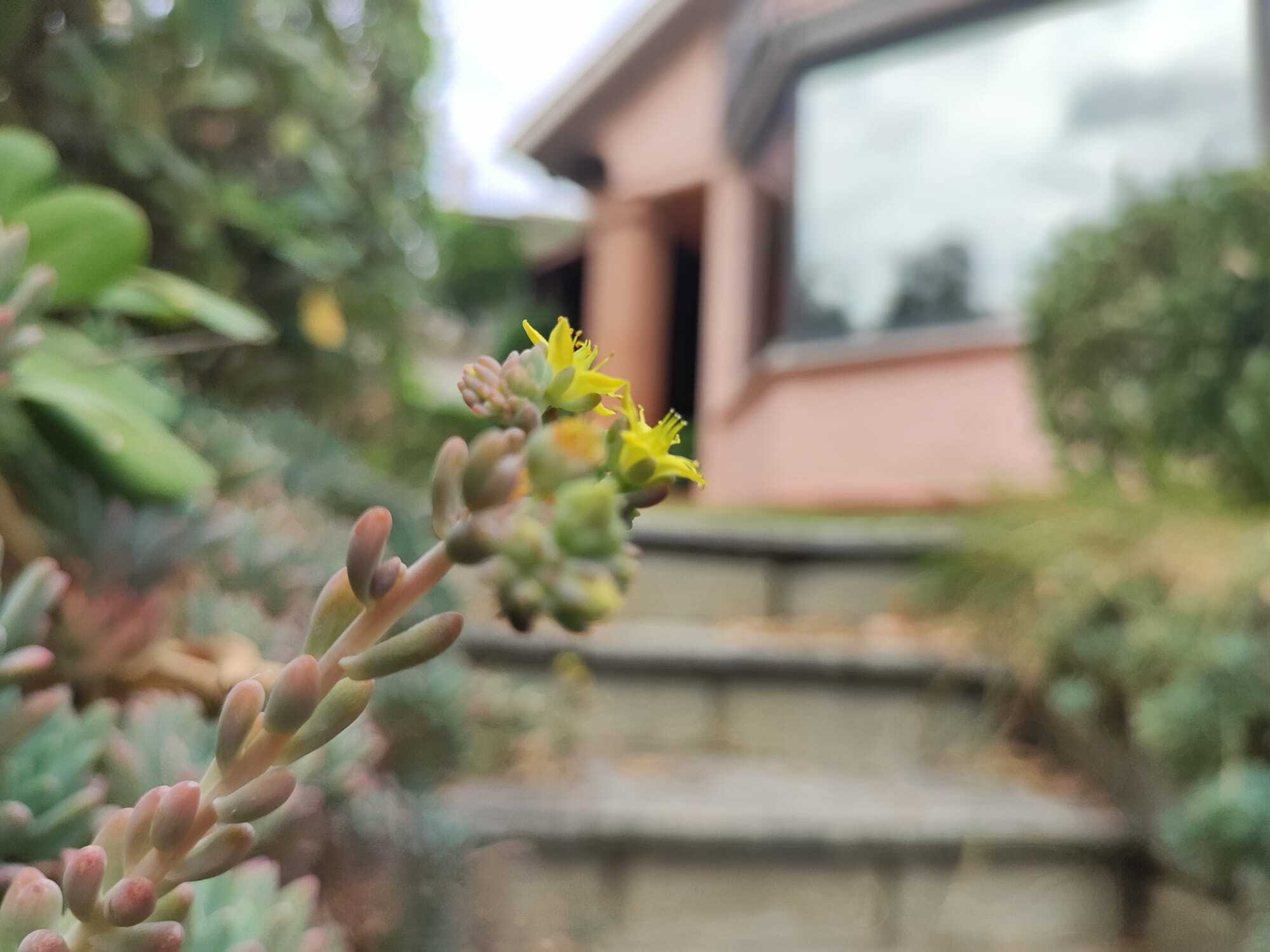  - foto 18