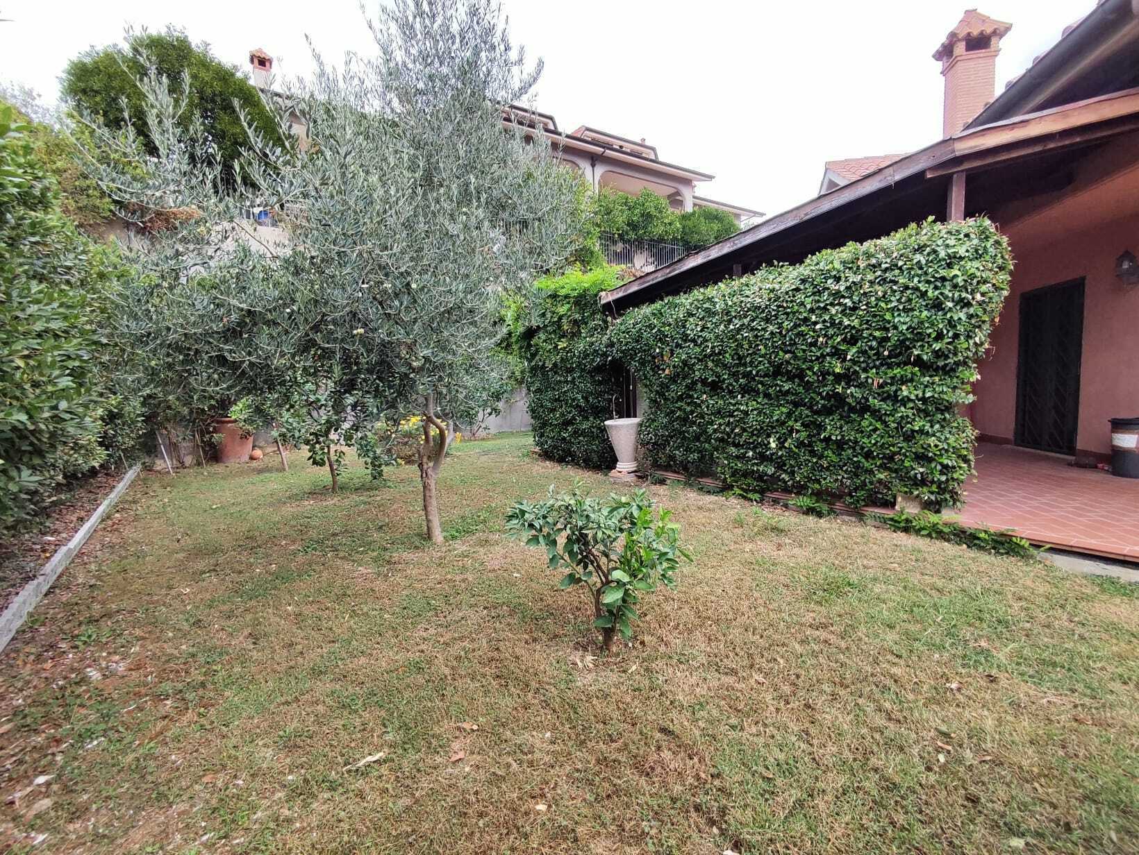  - foto 8