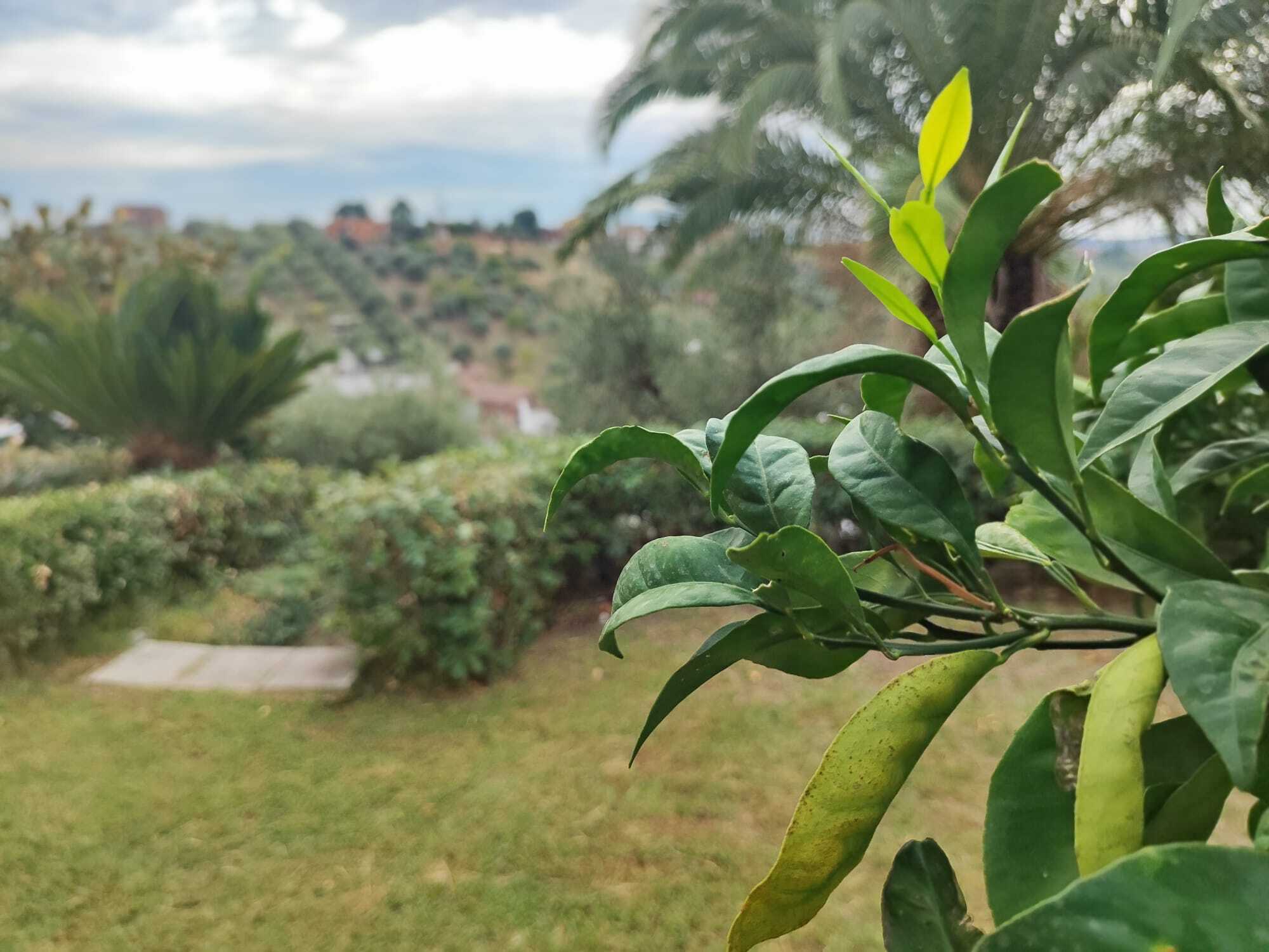  - foto 9