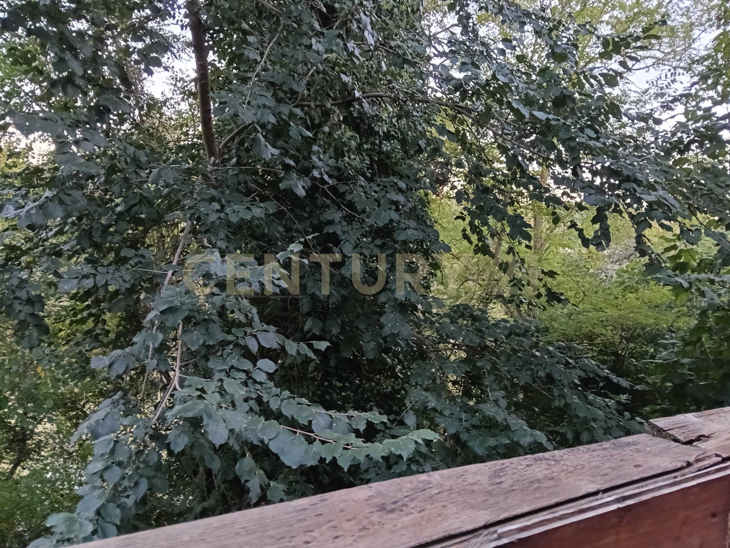  - foto 7