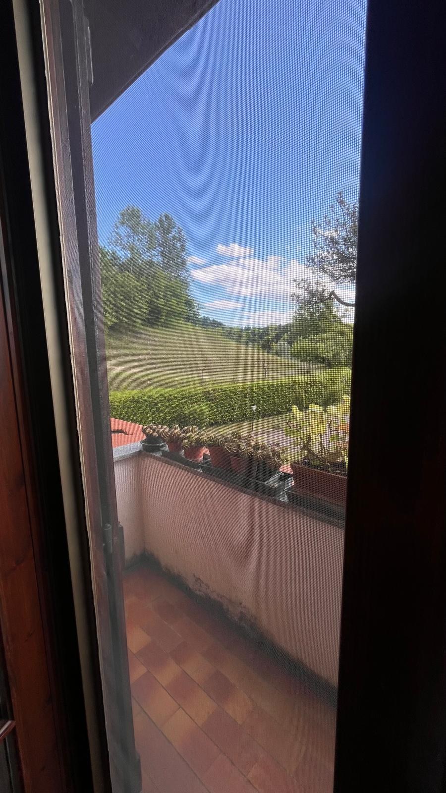  - foto 51