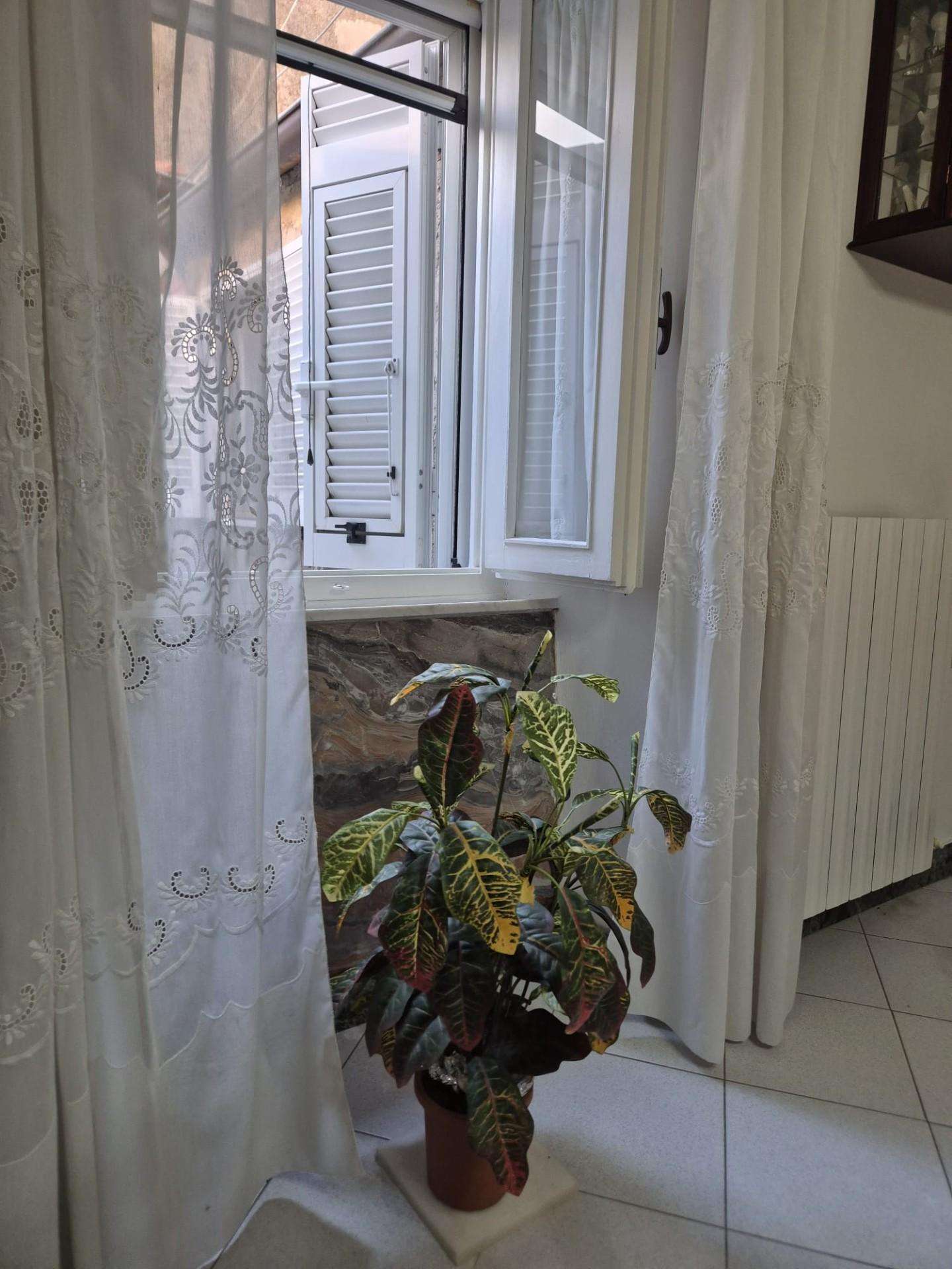 - foto 21