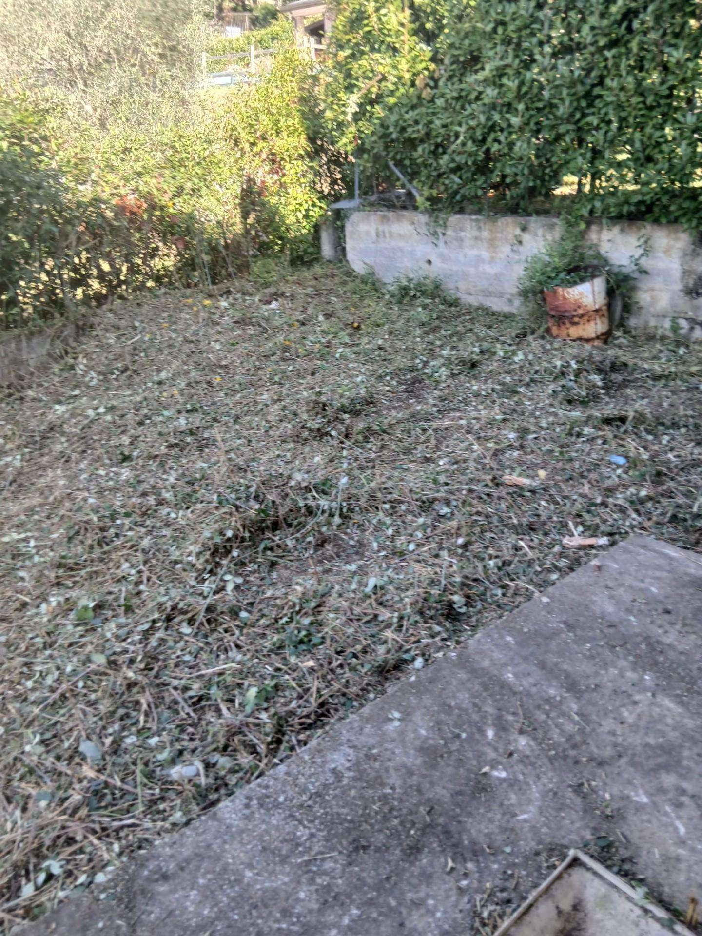  - foto 23