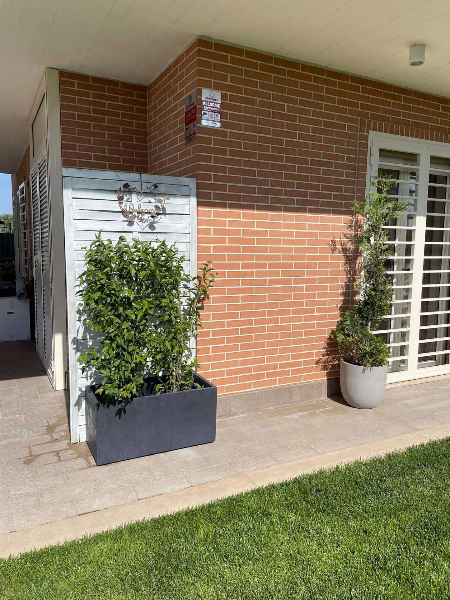  - foto 36