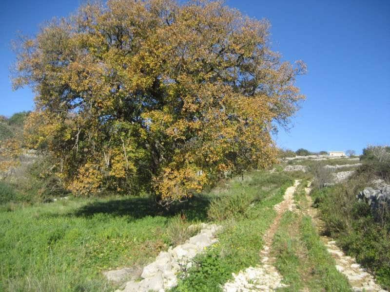  - foto 4