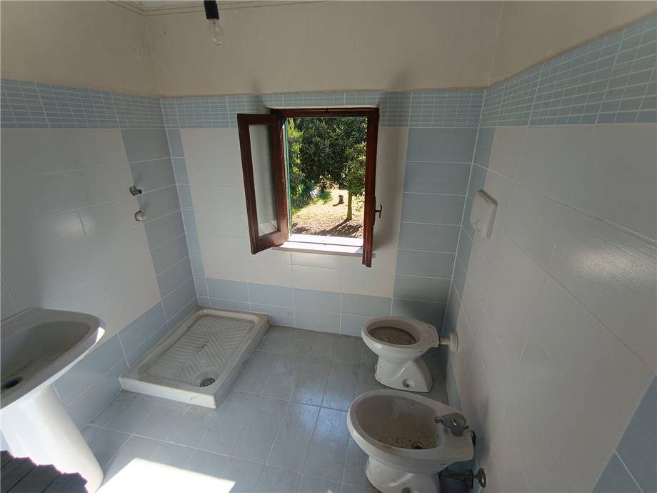  - foto 11