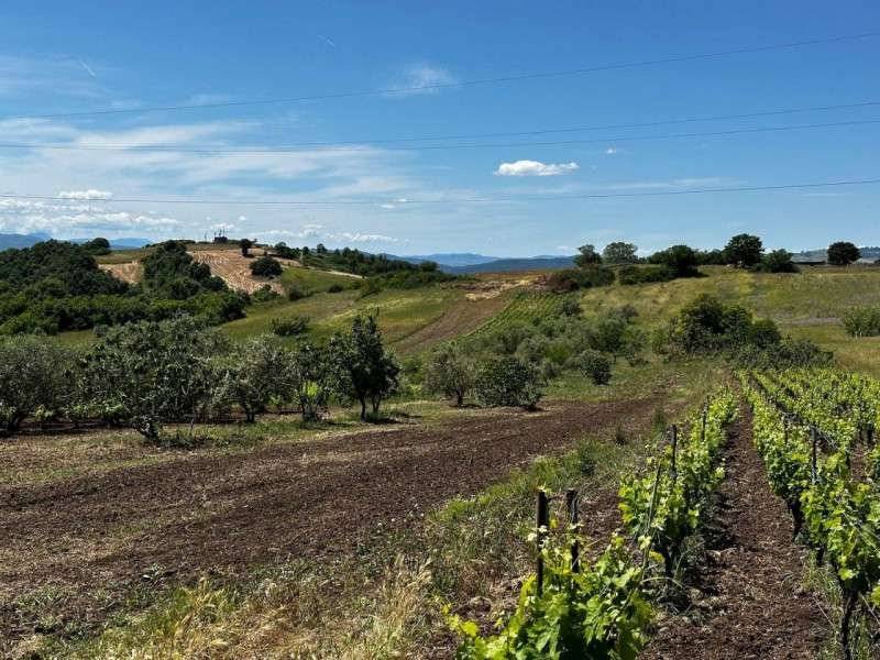 Altro Strada Provinciale 71 di Filiano, Filiano
