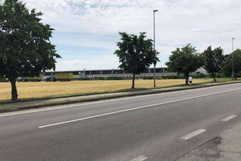  - foto 5