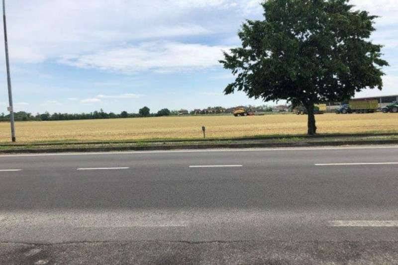 - foto 6