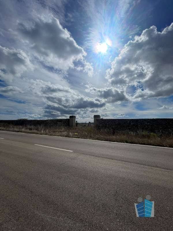  - foto 4