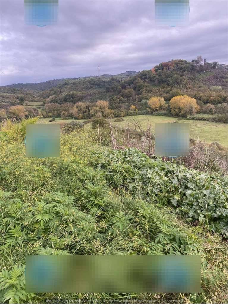  - foto 4