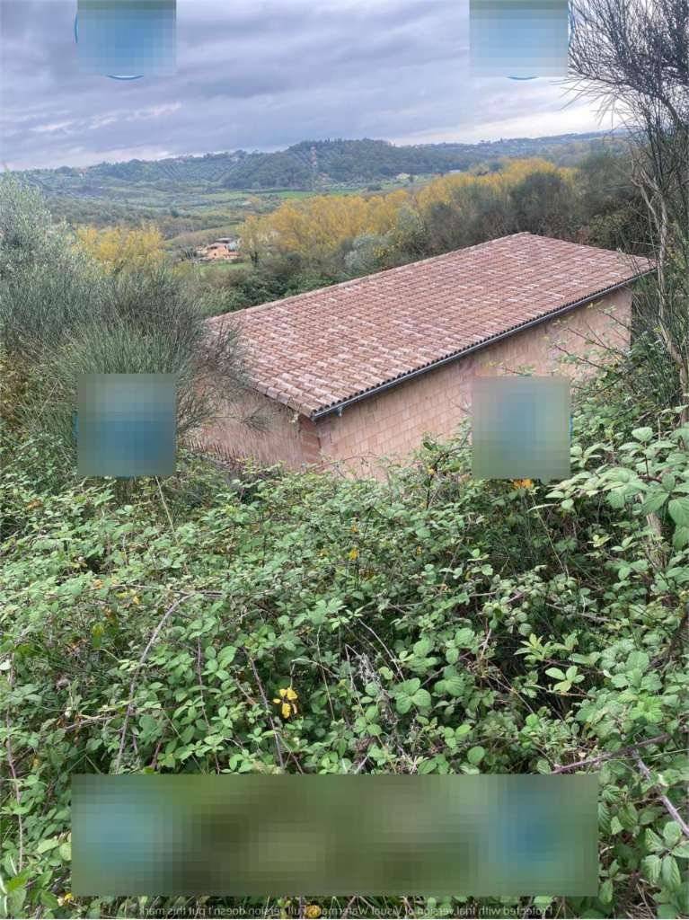  - foto 6